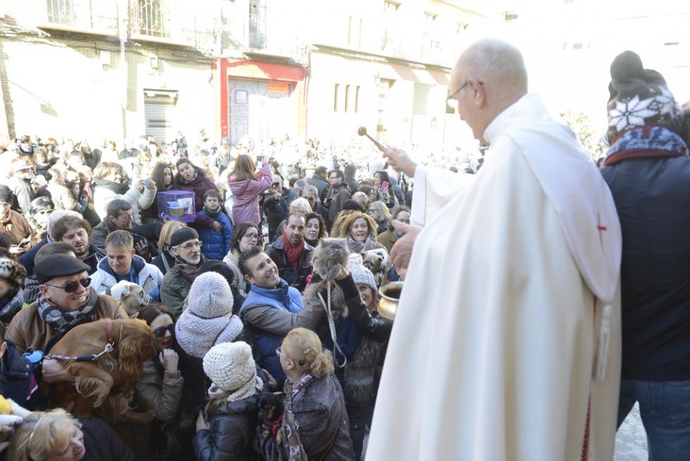 Bendición de Animales en San Pablo por San Antón