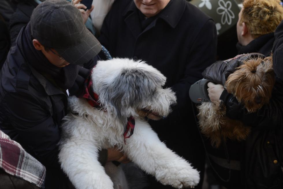 Bendición de Animales en San Pablo por San Antón