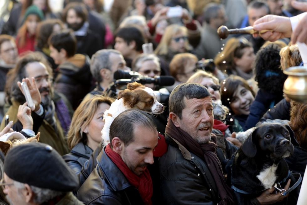 Bendición de Animales en San Pablo por San Antón