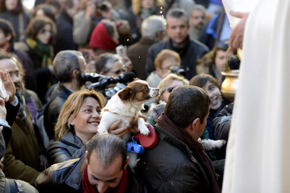 Bendición de Animales en San Pablo por San Antón