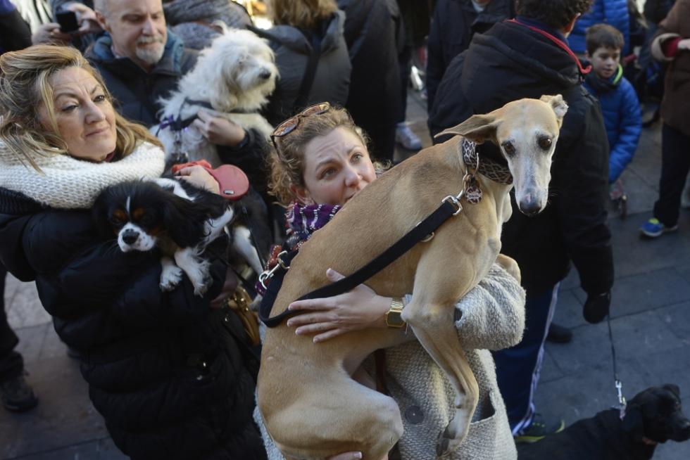 Bendición de Animales en San Pablo por San Antón