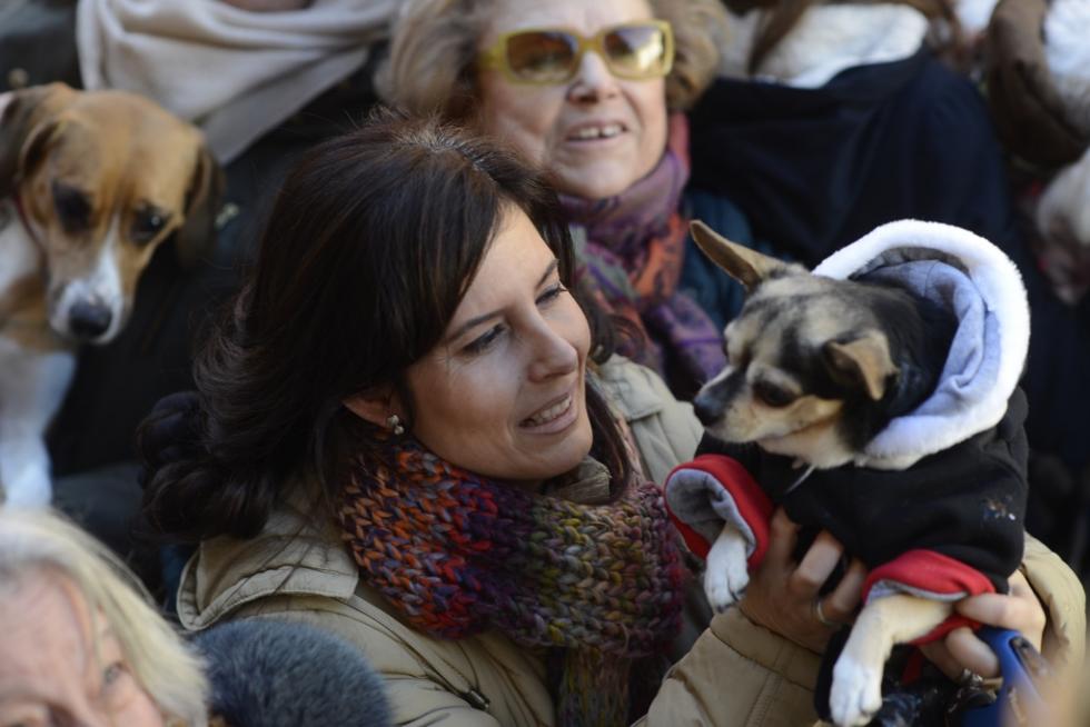 Bendición de Animales en San Pablo por San Antón