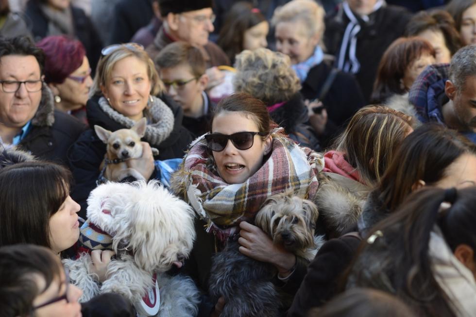 Bendición de Animales en San Pablo por San Antón