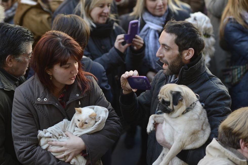 Bendición de Animales en San Pablo por San Antón