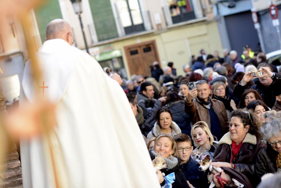 Bendición de Animales en San Pablo por San Antón