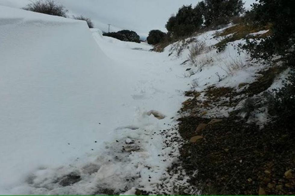 Nieve en Ojos Negros