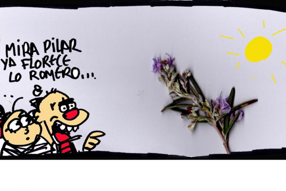 Supermaño