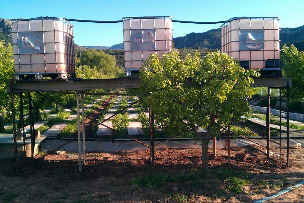 Fotos Granjas de Caracoles Imágenes