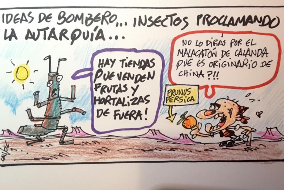 Supermaño