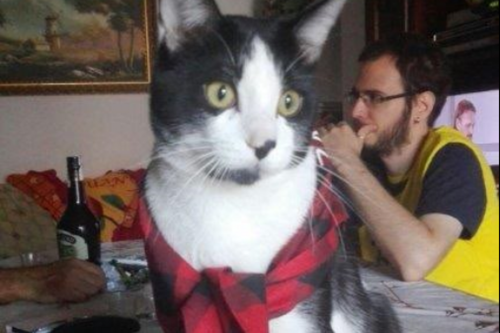 El álbum de las mascotas