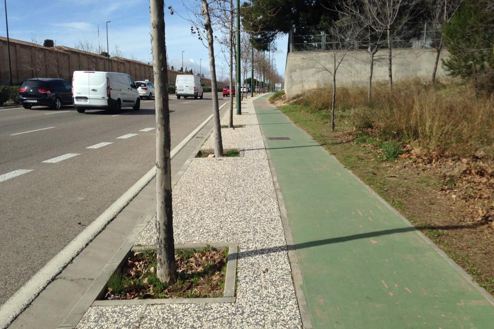 Alcorque y miniacera en el tercer cinturón, frente al cementerio