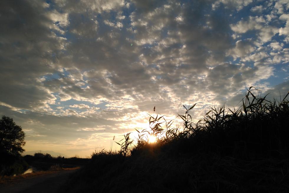 Atardecer en Figueruelas