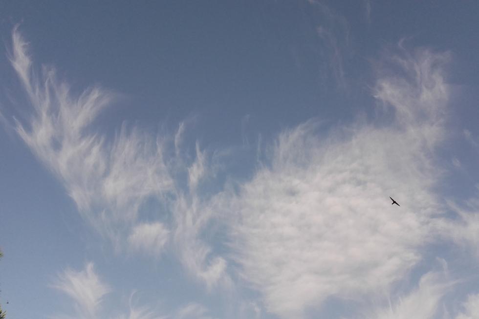 Cielo en San Mateo de Gallego esta mañana