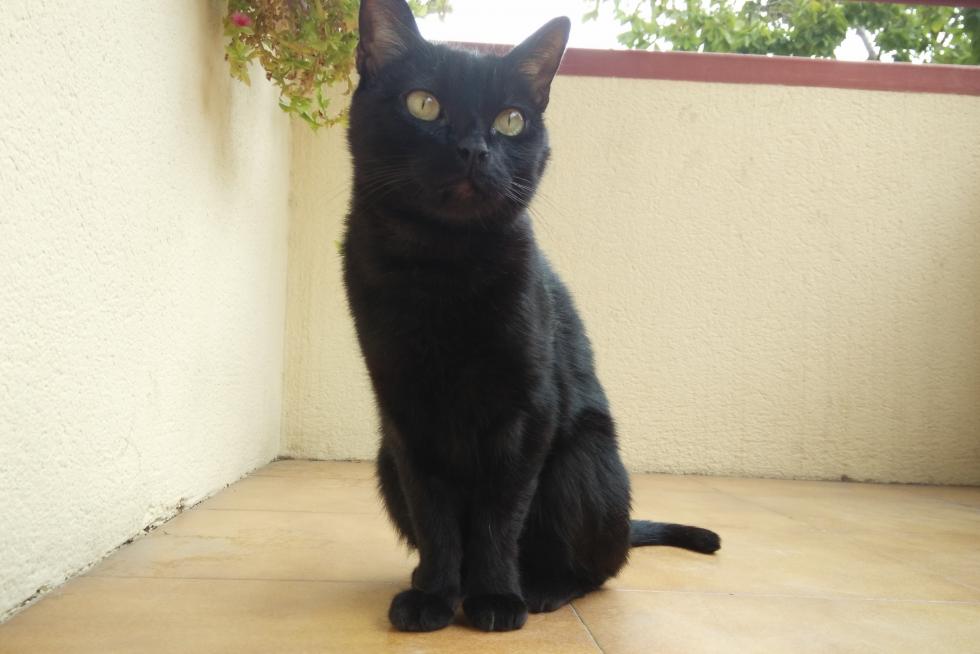 Chupita