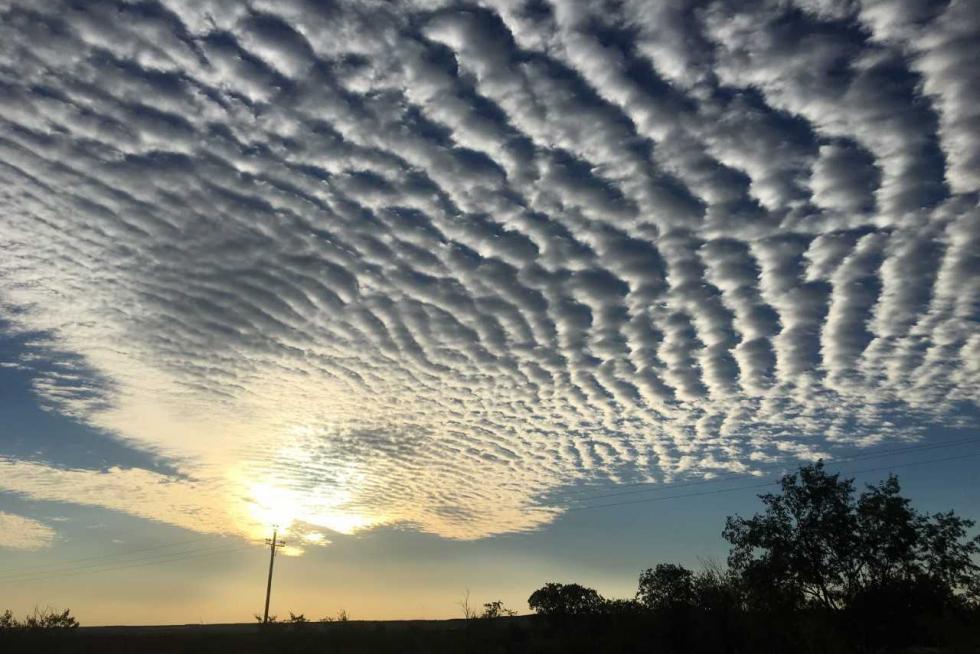 Amanecer en Cariñena