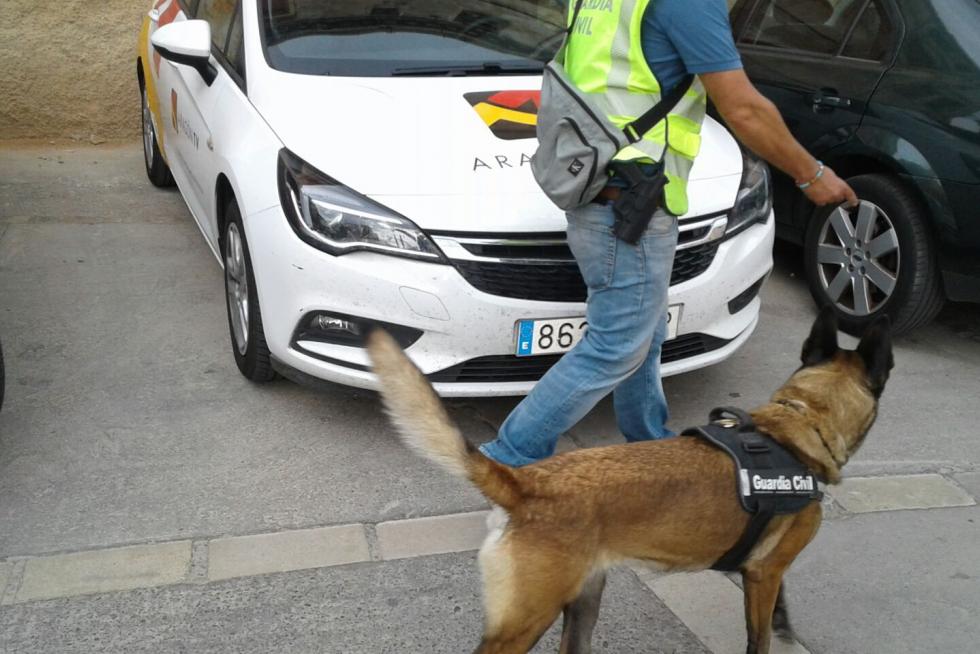 Dispositivo de seguridad en Tarazona.
