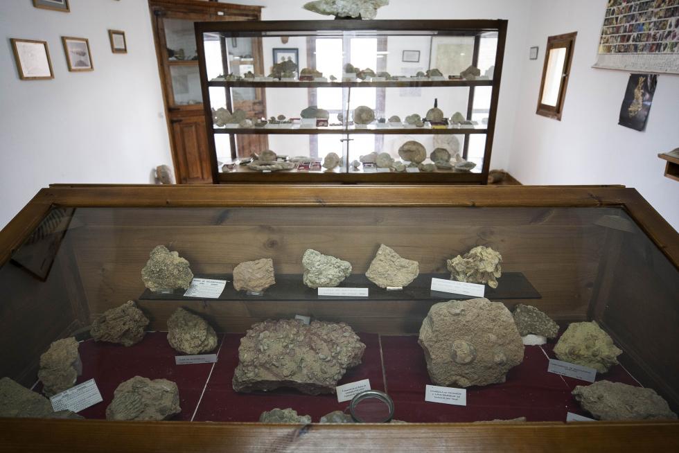 Museo paleontológico de Josa