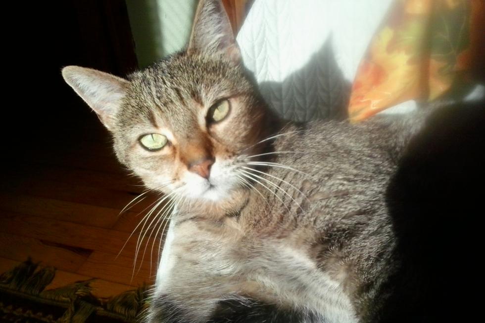 Luna