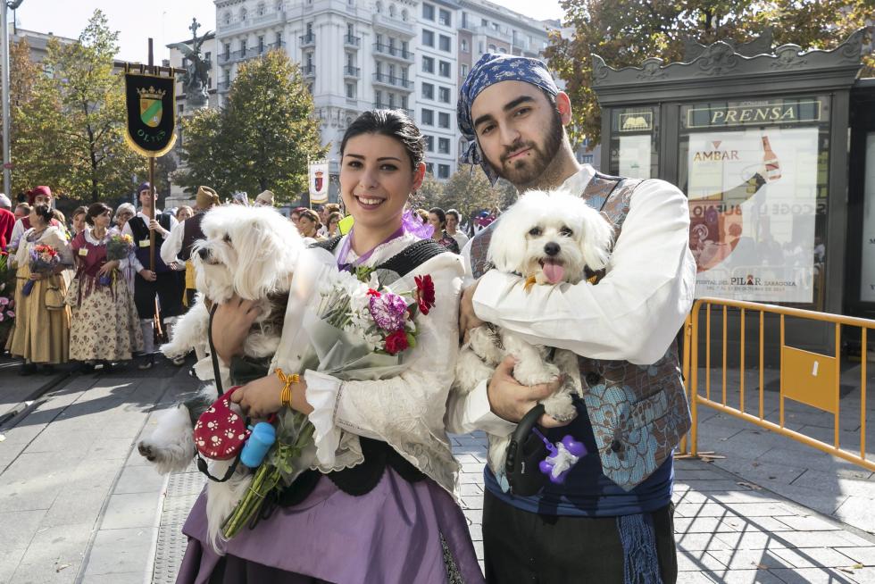 Todas las imágenes de la Ofrenda de flores 2017
