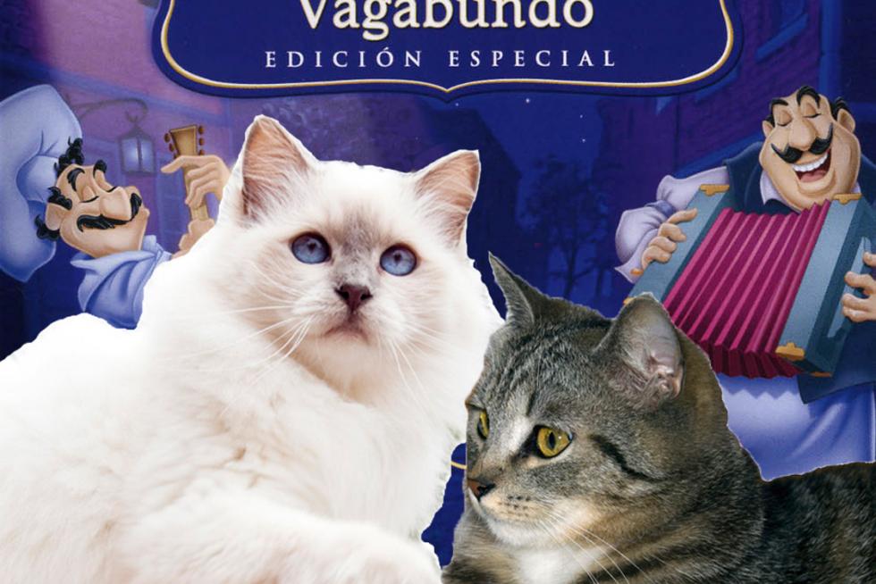 La Dama y el Vagabundo