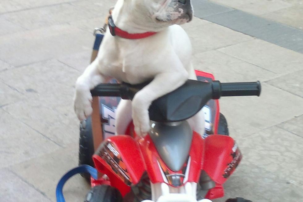 Super Rocky