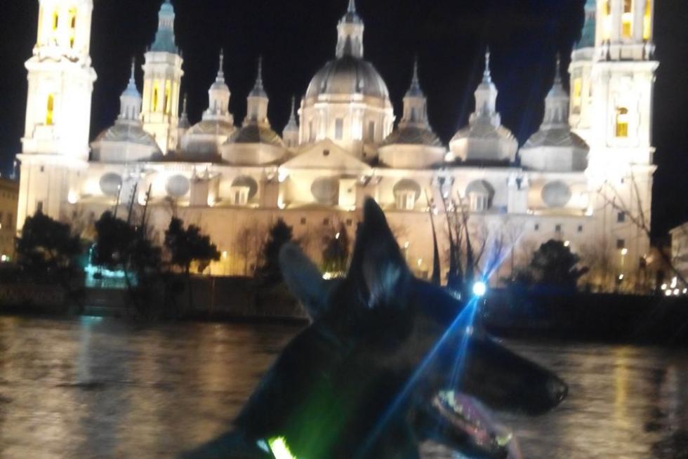 Nara Pilar