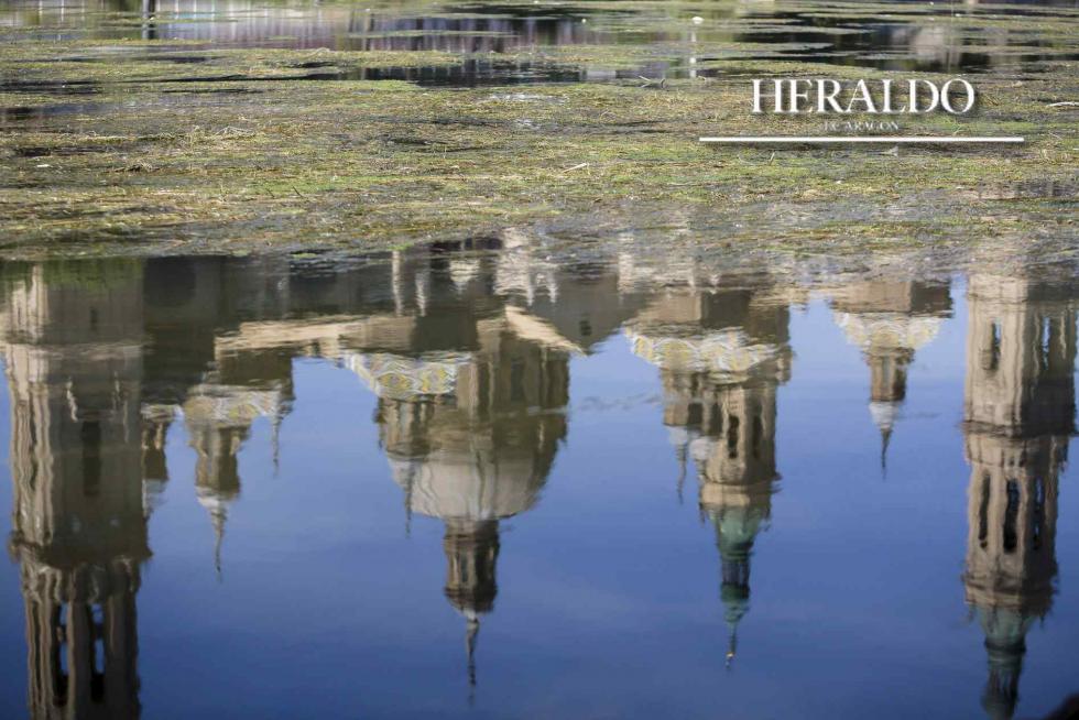 El 16 de mayo técnicos del Instituto Municipal de Salud Pública y personal de Bomberos vertieron 200 litros de larvicida natural en el río Ebro a su paso por Zaragoza entre Juslibol y el azud en una operación contra la mosca negra.
