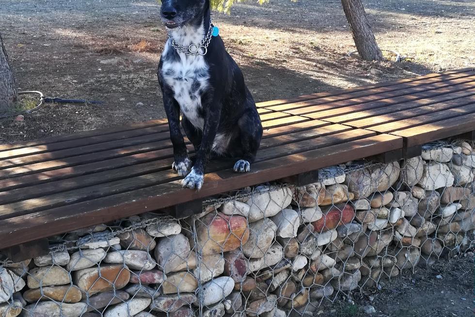 posando guapisimo