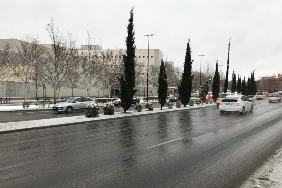 Este miércoles Zaragoza ha amanecido cubierta por una fina capa de nieve