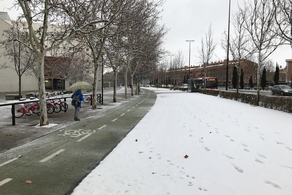 Este miércoles Zaragoza ha amanecido cubierta por una fina capa de nieve