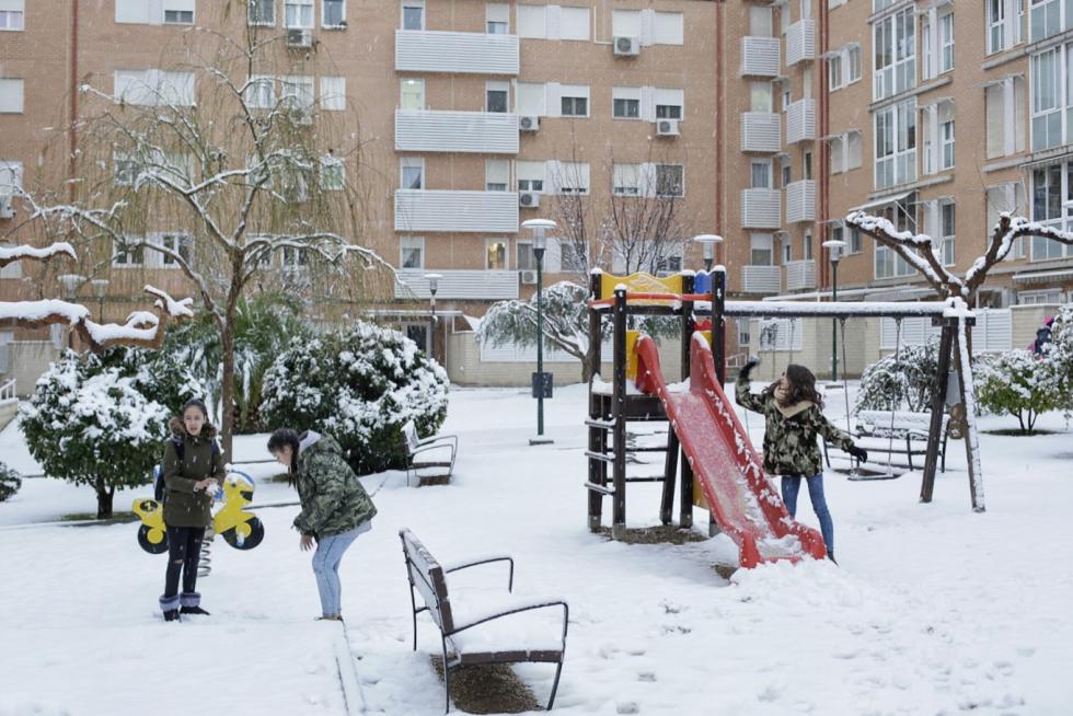 Este miércoles Zaragoza ha amanecido cubierta por una fina capa de nieve
