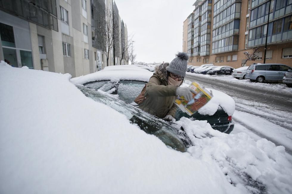 Este miércoles Zaragoza ha amanecido cubierta por una fina capa de nieve
