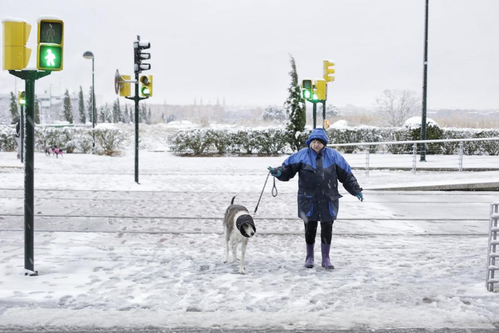 Este miércoles Zaragoza ha amanecido cubierta por una fina capa de nieve