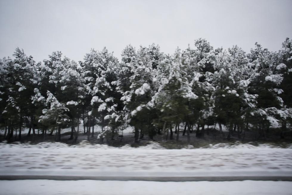 Este miércoles Zaragoza ha amanecido cubierta por una fina capa de nieve