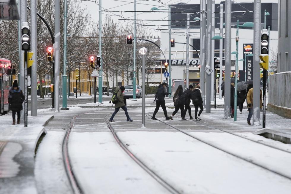 Este miércoles Zaragoza ha amanecido cubierta por una fina capa de nieve