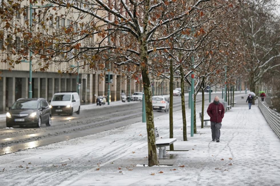 Este miércoles Zaragoza ha amanecido cubierta por una fina capa de nieve