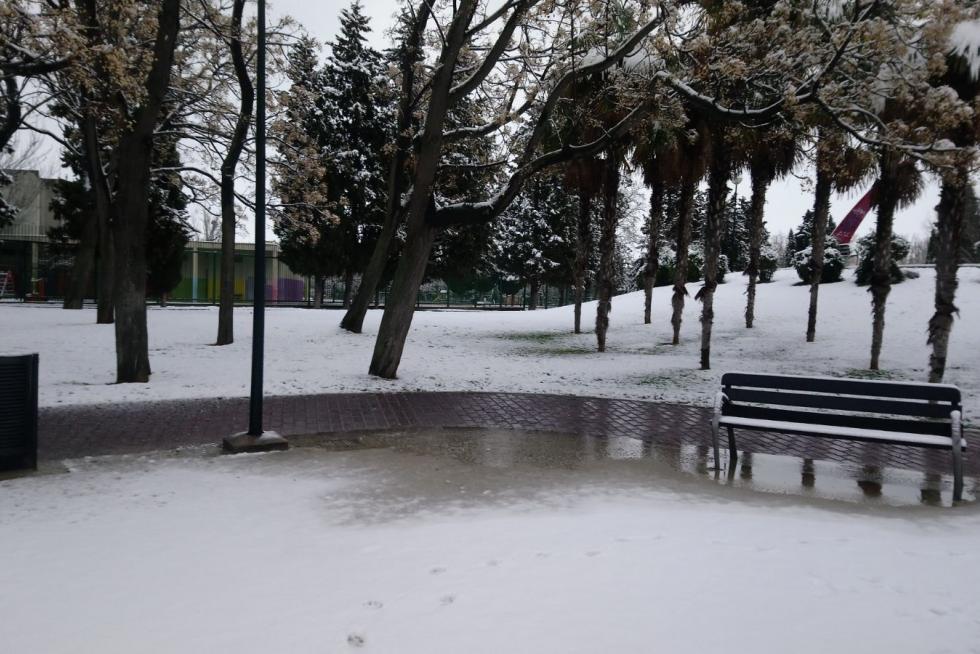 Este miércoles Zaragoza ha amanecido cubierta por una fina capa de nieve