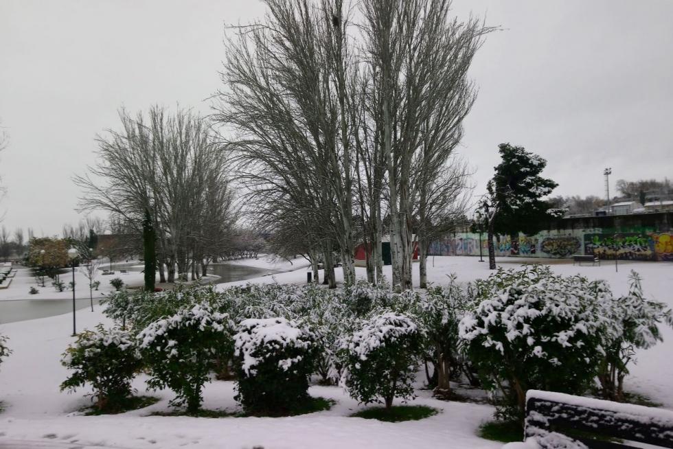 Este miércoles Zaragoza ha amanecido cubierta por una fina capa de nieve