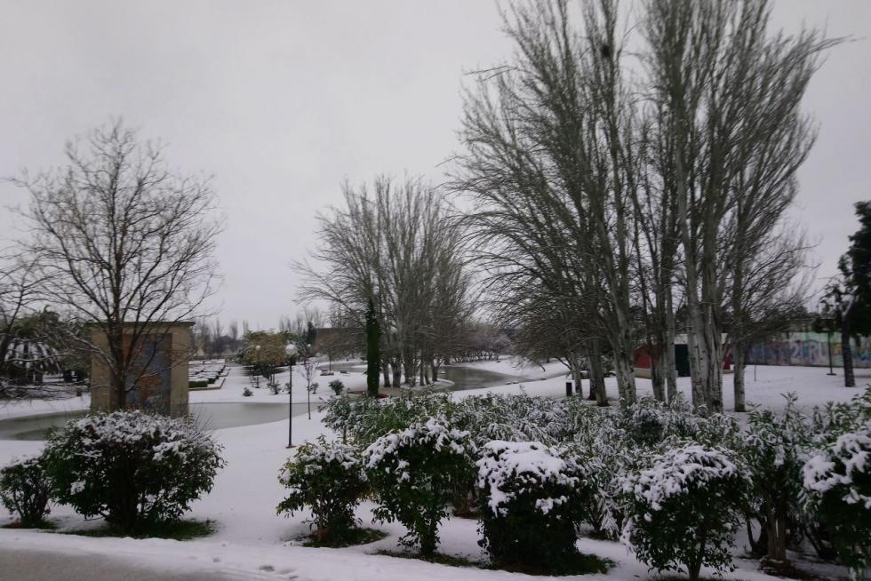 Este miércoles Zaragoza ha amanecido cubierta por una fina capa de nieve