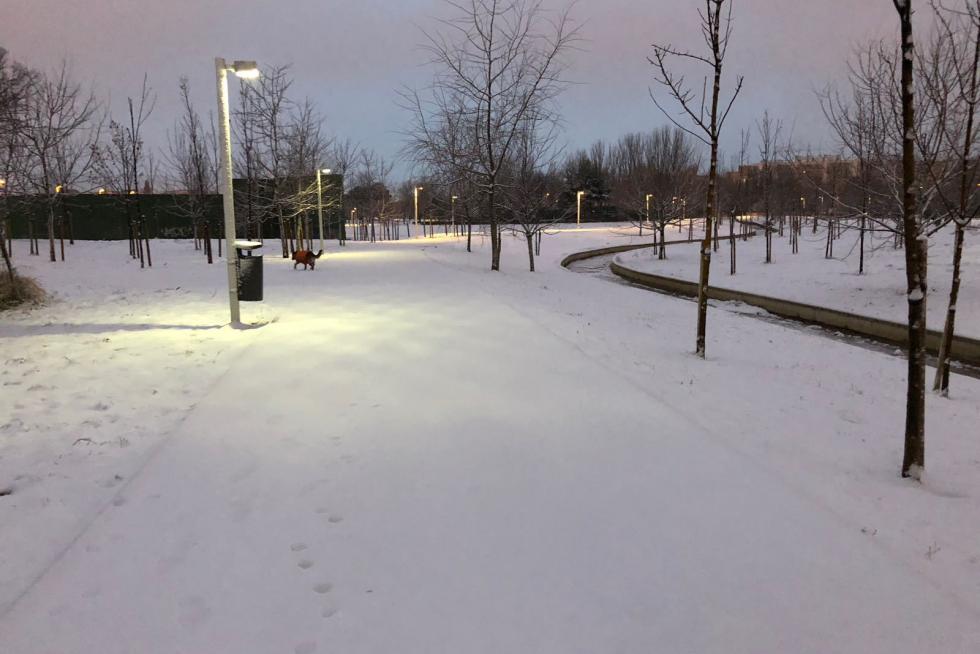 Este miércoles Zaragoza ha amanecido cubierta por una fina capa de nieve