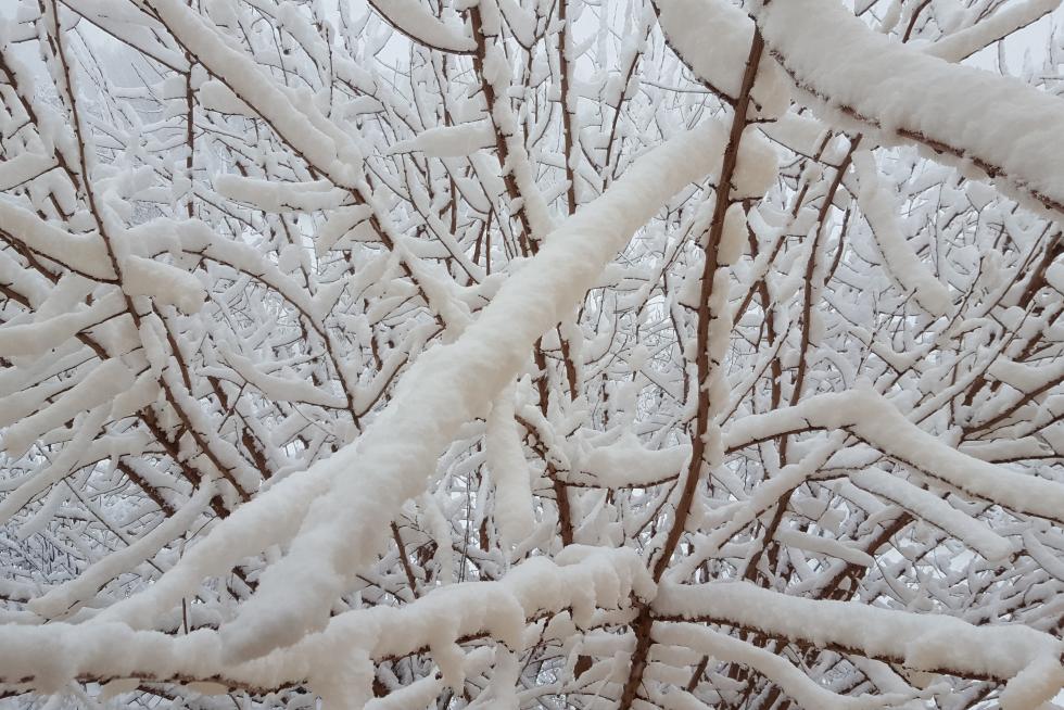 Nieve en Aragón