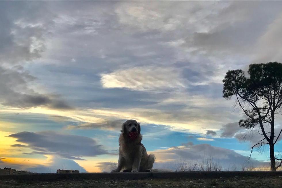 ATARDECER EN EL PARQUE GRANDE