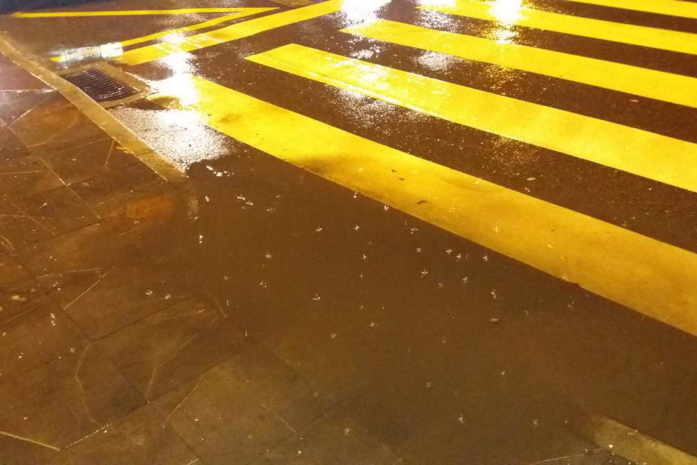 Plaza Europa