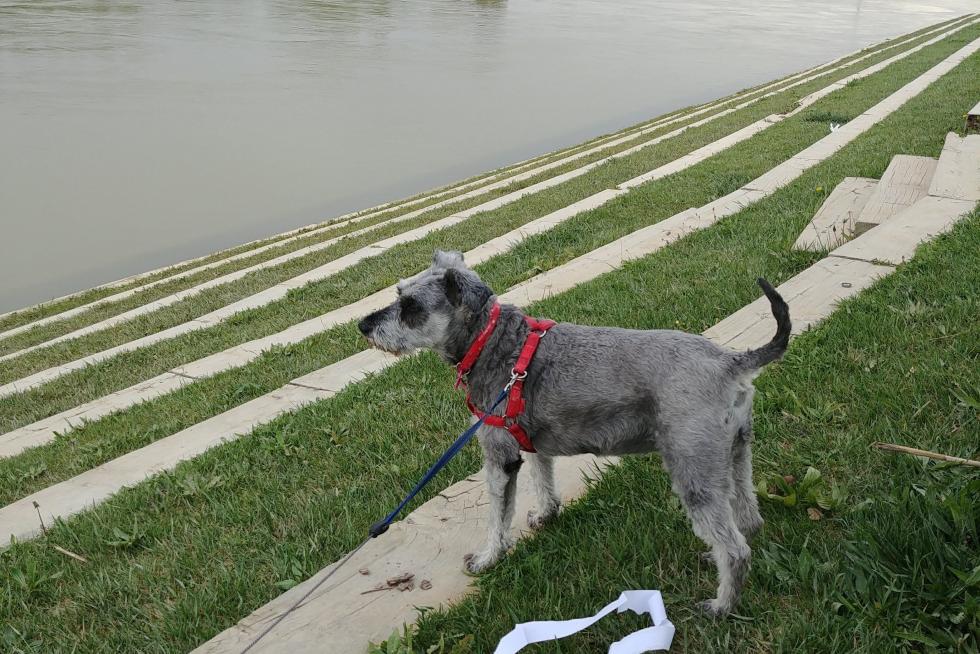 Mirando al Ebro
