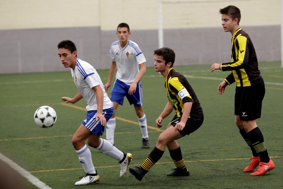 _MG_0131 (Large)