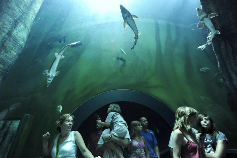 El Aquario de la Expo Zaragoza 2008