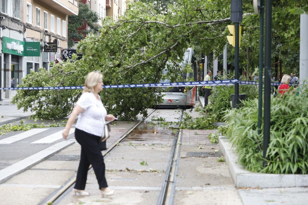 Tormenta de viento y granizo en Zaragoza