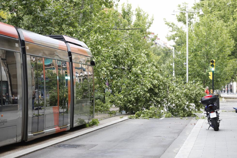 Tormenta de viento y granizo en Zaragoza