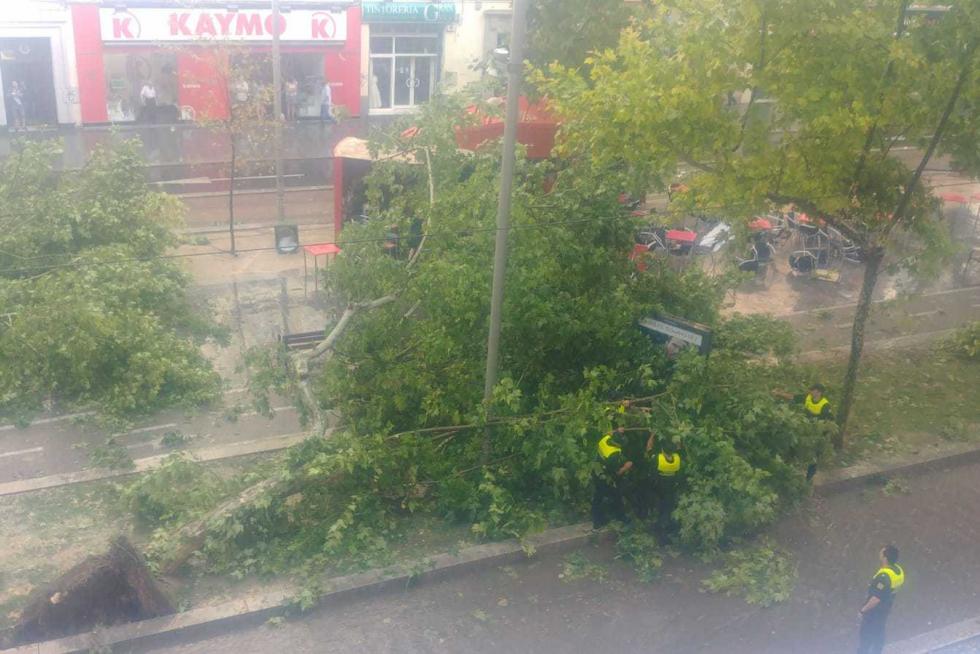 Una fuerte tormenta arranca árboles a la altura de la plaza de San Francisco.