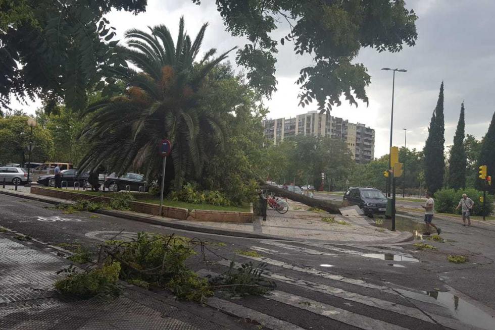 Tormenta de viento y granizo en Zaragoza
